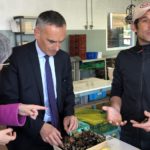 Arnaud Danjean fait campagne en Morbihan