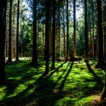 Environnement et énergie